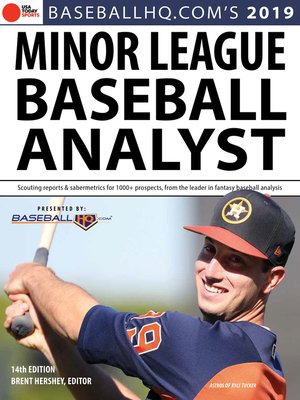 cover image of 2019 Minor League Baseball Analyst
